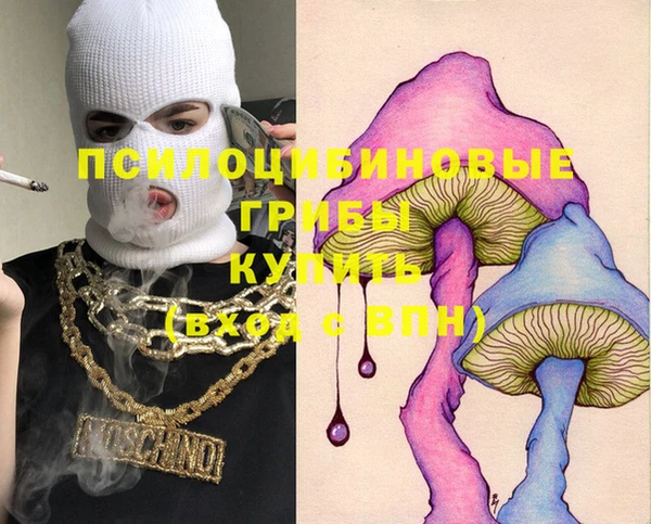 бошки Балахна