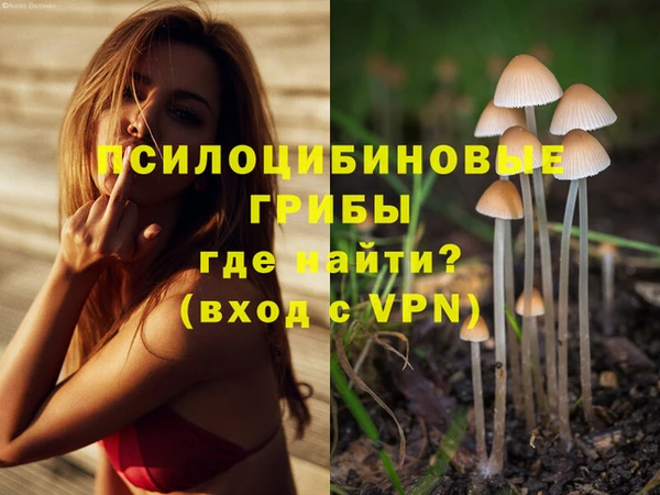 шишки Россошь