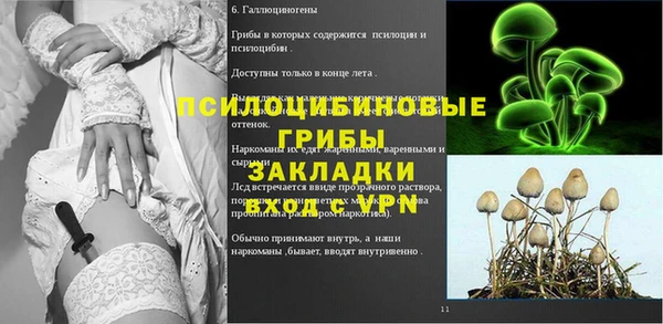 бошки Балахна