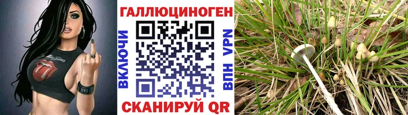 Псилоцибиновые грибы мухоморы сайты даркнета какой сайт Коммунар